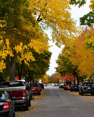 Fall street scene in Minnesota with autumn foliage