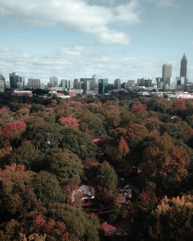 Aerial view of Atlanta with lush tree canopy and city skyline
