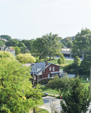 Tree-lined Cincinnati neighborhood street with houses